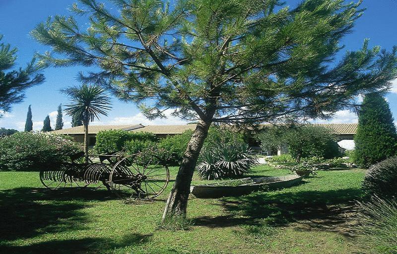 Lou Garbin Hotel Saint Laurent d'Aigouze Bagian luar foto